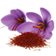 Zafferano